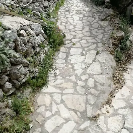 Lefki's House * Drymon