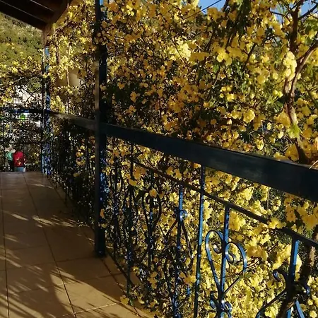 Lefki's House Drymon